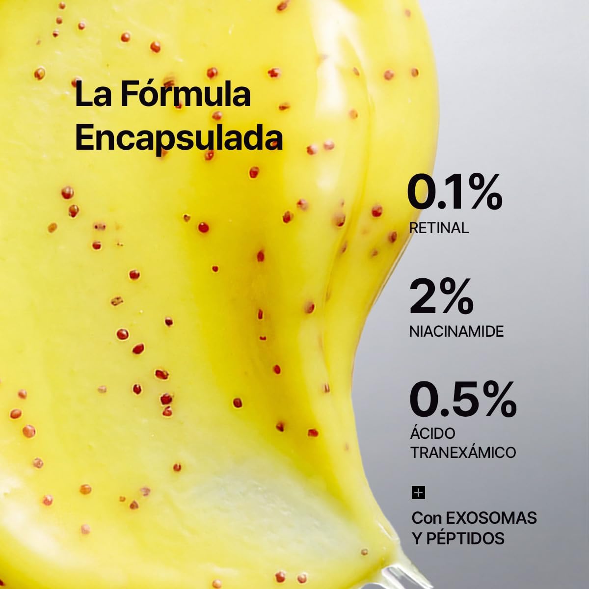 galeria 8