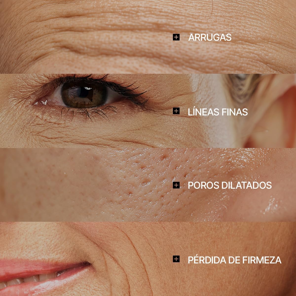 galeria 11